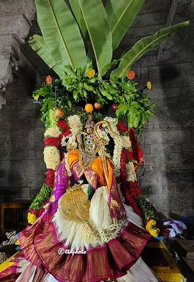 Divine Darshan of Kaliyamardana: కల్పవృక్ష వాహనంపై కాళీయమర్దనుడిగా దివ్య దర్శనం Divine Darshan of Kaliyamardana: కల్పవృక్ష వాహనంపై కాళీయమర్దనుడిగా దివ్య దర్శనం