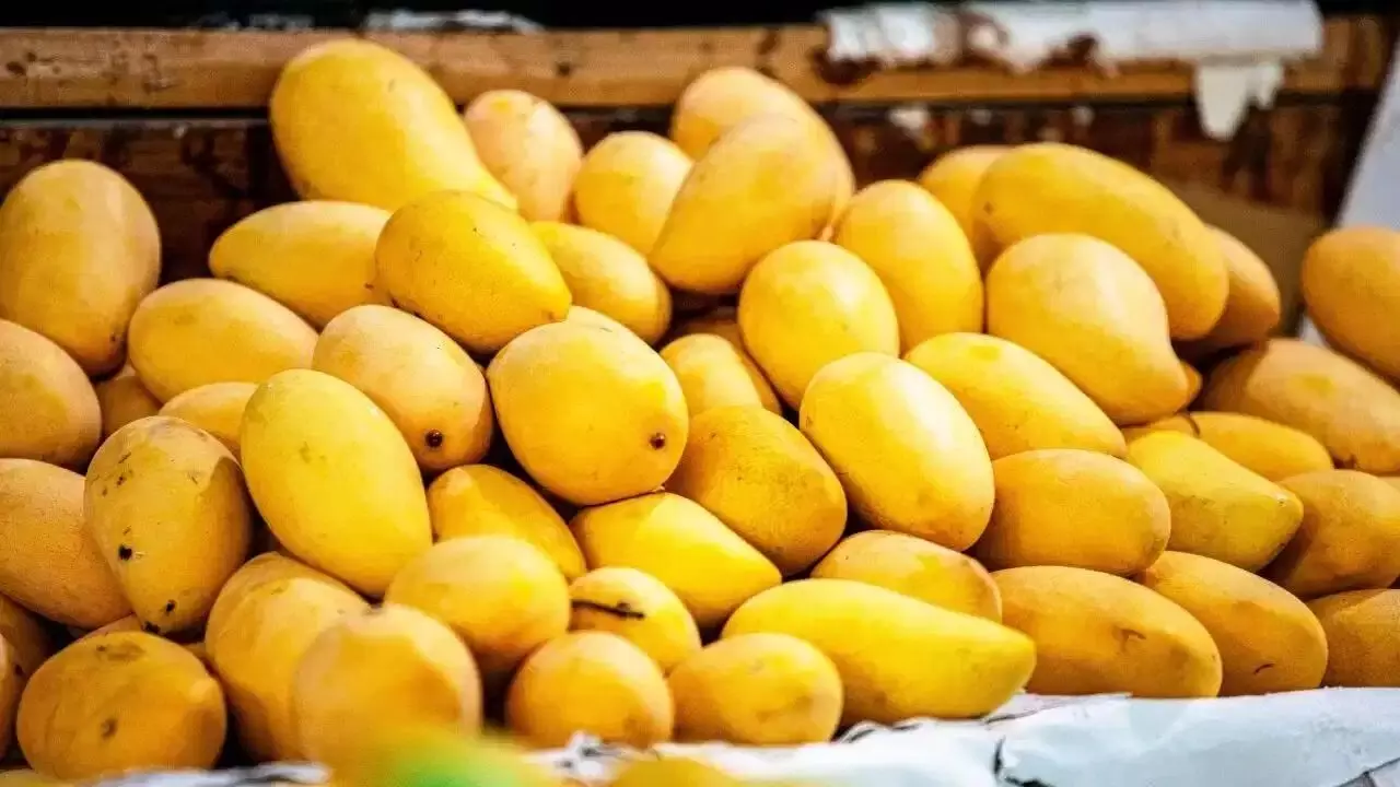 Mango Ban : కీటక నాశినుల ప్రభావం, క్వారంటైన్ లోపాలే కారణం..భారతీయ మామిడి పండ్లపై నేపాల్ బ్యాన్ Mango Ban : కీటక నాశినుల ప్రభావం, క్వారంటైన్ లోపాలే కారణం..భారతీయ మామిడి పండ్లపై నేపాల్ బ్యాన్