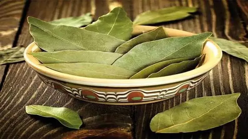 Bay Leaves: చుండ్రు, జుట్టు రాలడం సమస్యలకు బిర్యానీ ఆకుతో చెక్ పెట్టండిలా Bay Leaves: చుండ్రు, జుట్టు రాలడం సమస్యలకు బిర్యానీ ఆకుతో చెక్ పెట్టండిలా