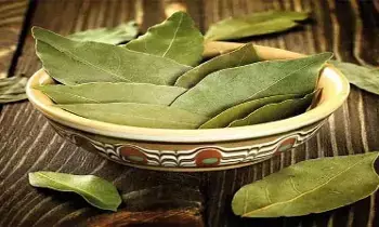 Bay Leaves: చుండ్రు, జుట్టు రాలడం సమస్యలకు బిర్యానీ ఆకుతో చెక్ పెట్టండిలా Bay Leaves: చుండ్రు, జుట్టు రాలడం సమస్యలకు బిర్యానీ ఆకుతో చెక్ పెట్టండిలా