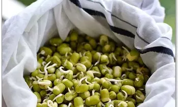 Best Way to Eat Sprouts: మొలకలు ఎలా తింటే మంచిది? Best Way to Eat Sprouts: మొలకలు ఎలా తింటే మంచిది?