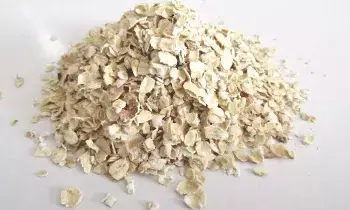 Oats: ఓట్స్: ఉడికించి తింటే మంచిదా.. రాత్రంతా నానబెట్టి తింటే మంచిదా? Oats: ఓట్స్: ఉడికించి తింటే మంచిదా.. రాత్రంతా నానబెట్టి తింటే మంచిదా?