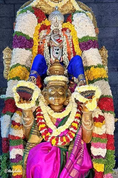 Divine Procession of Gokulananda: గరుడవాహనంపై గోకులానందుని దివ్య విహారం Divine Procession of Gokulananda: గరుడవాహనంపై గోకులానందుని దివ్య విహారం