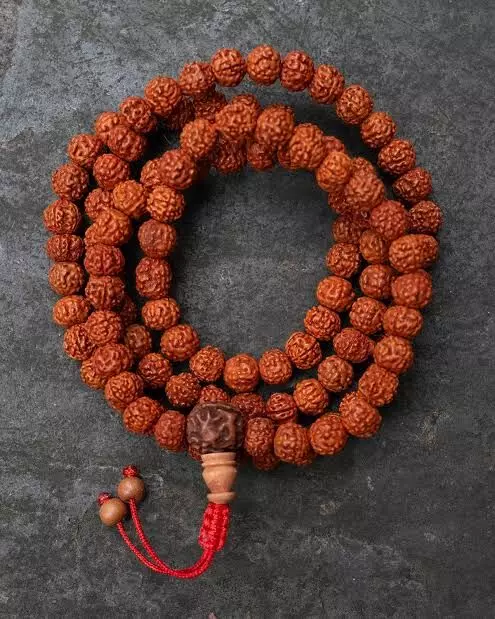 Women Wear Rudraksha: మహిళలు రుద్రాక్ష ధరించవచ్చా? శాస్త్రాలు ఏం చెబుతున్నాయి? అపోహలు.. నిజాలు.. Women Wear Rudraksha: మహిళలు రుద్రాక్ష ధరించవచ్చా? శాస్త్రాలు ఏం చెబుతున్నాయి? అపోహలు.. నిజాలు..