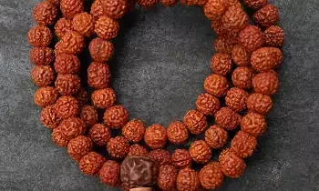 Women Wear Rudraksha: మహిళలు రుద్రాక్ష ధరించవచ్చా? శాస్త్రాలు ఏం చెబుతున్నాయి? అపోహలు.. నిజాలు.. Women Wear Rudraksha: మహిళలు రుద్రాక్ష ధరించవచ్చా? శాస్త్రాలు ఏం చెబుతున్నాయి? అపోహలు.. నిజాలు..