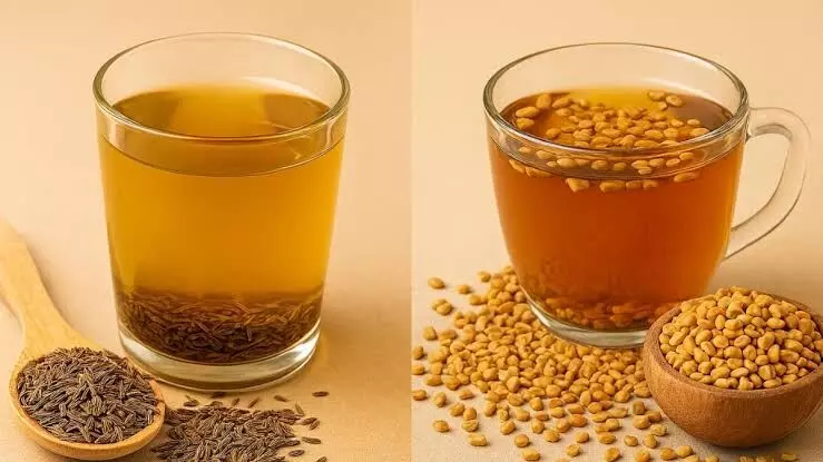 Cumin Water vs Fenugreek Water: జీలకర్ర vs మెంతి నీళ్లు.. ఆరోగ్యానికి ఏది బెస్ట్..? Cumin Water vs Fenugreek Water: జీలకర్ర vs మెంతి నీళ్లు.. ఆరోగ్యానికి ఏది బెస్ట్..?