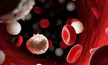 Thalassemia Dangerous: థలసేమియా ప్రమాదకరమా? పెళ్లి, గర్భధారణకు ముందే పరీక్షలు ఎందుకు ముఖ్యం? Thalassemia Dangerous: థలసేమియా ప్రమాదకరమా? పెళ్లి, గర్భధారణకు ముందే పరీక్షలు ఎందుకు ముఖ్యం?