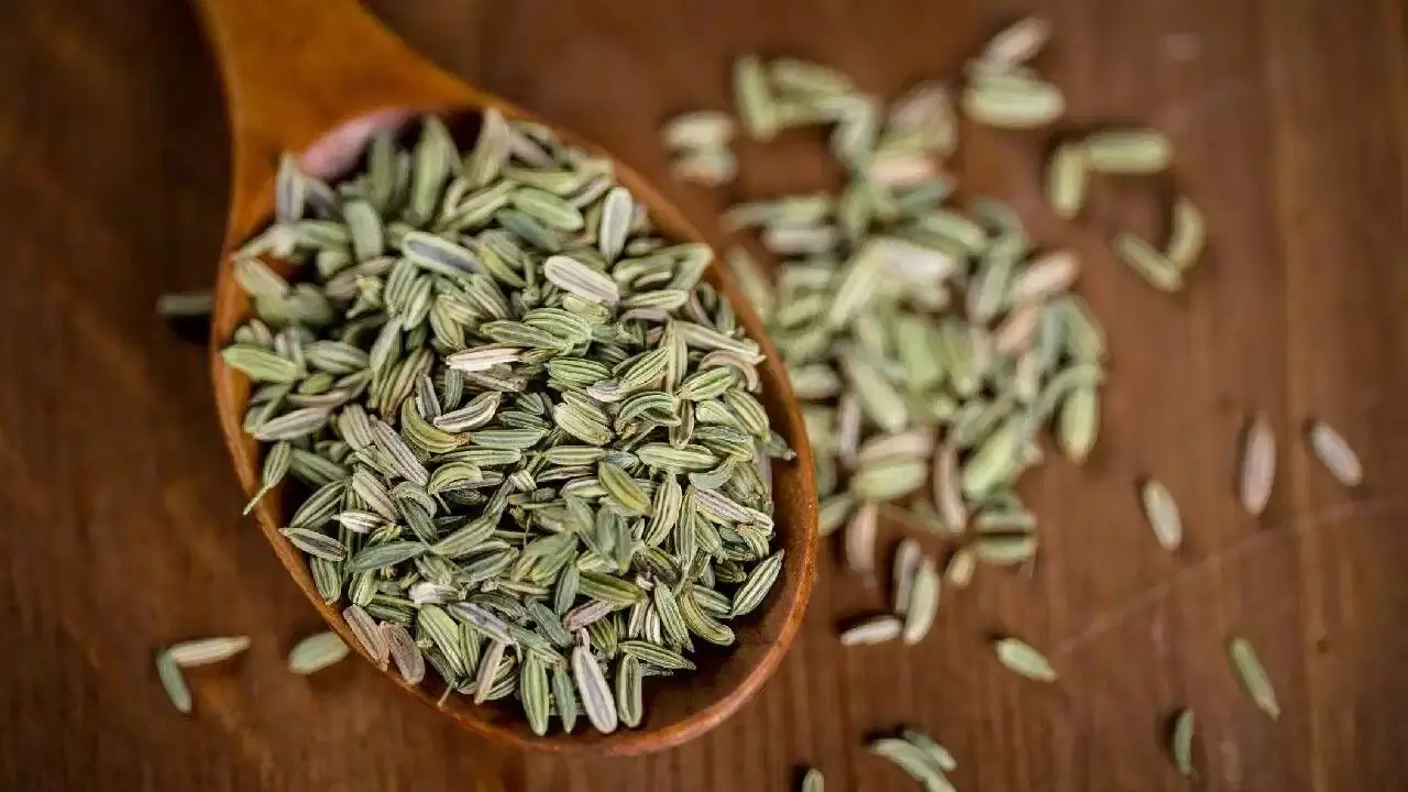 A Spoonful of Fennel After Meals: భోజనం తర్వాత ఒక చెంచా సోంపు తింటే.. ఈ అద్భుతమైన ప్రయోజనాలు మీ సొంతం. A Spoonful of Fennel After Meals: భోజనం తర్వాత ఒక చెంచా సోంపు తింటే.. ఈ అద్భుతమైన ప్రయోజనాలు మీ సొంతం.
