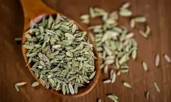 A Spoonful of Fennel After Meals:  భోజనం తర్వాత ఒక చెంచా సోంపు తింటే.. ఈ అద్భుతమైన ప్రయోజనాలు మీ సొంతం.