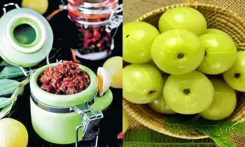 Eating Indian Gooseberry Before Meals: భోజనానికి ముందు ఉసిరికాయ తింటే ఏం జరుగుతుందో తెలుసా.? Eating Indian Gooseberry Before Meals: భోజనానికి ముందు ఉసిరికాయ తింటే ఏం జరుగుతుందో తెలుసా.?