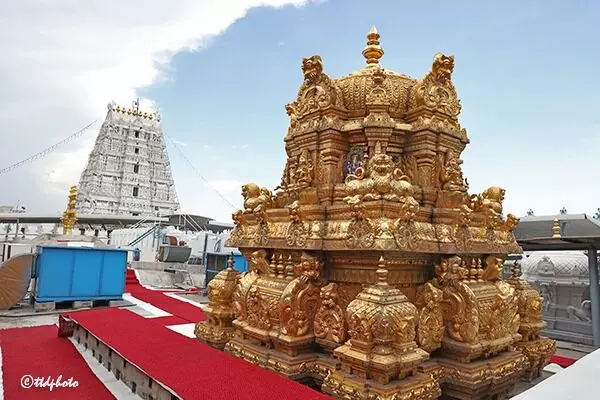 Sri Padmavathi Ammavari Temple: తిరుచానూరు శ్రీ పద్మావతి అమ్మవారి ఆర్జిత సేవల వివరాలు Sri Padmavathi Ammavari Temple: తిరుచానూరు శ్రీ పద్మావతి అమ్మవారి ఆర్జిత సేవల వివరాలు