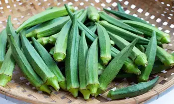 Amazing Benefits of Okra: బెండకాయతో అద్భుత ప్రయోజనాలు: గుండె ఆరోగ్యం నుంచి మలబద్ధకం వరకు చెక్! Amazing Benefits of Okra: బెండకాయతో అద్భుత ప్రయోజనాలు: గుండె ఆరోగ్యం నుంచి మలబద్ధకం వరకు చెక్!