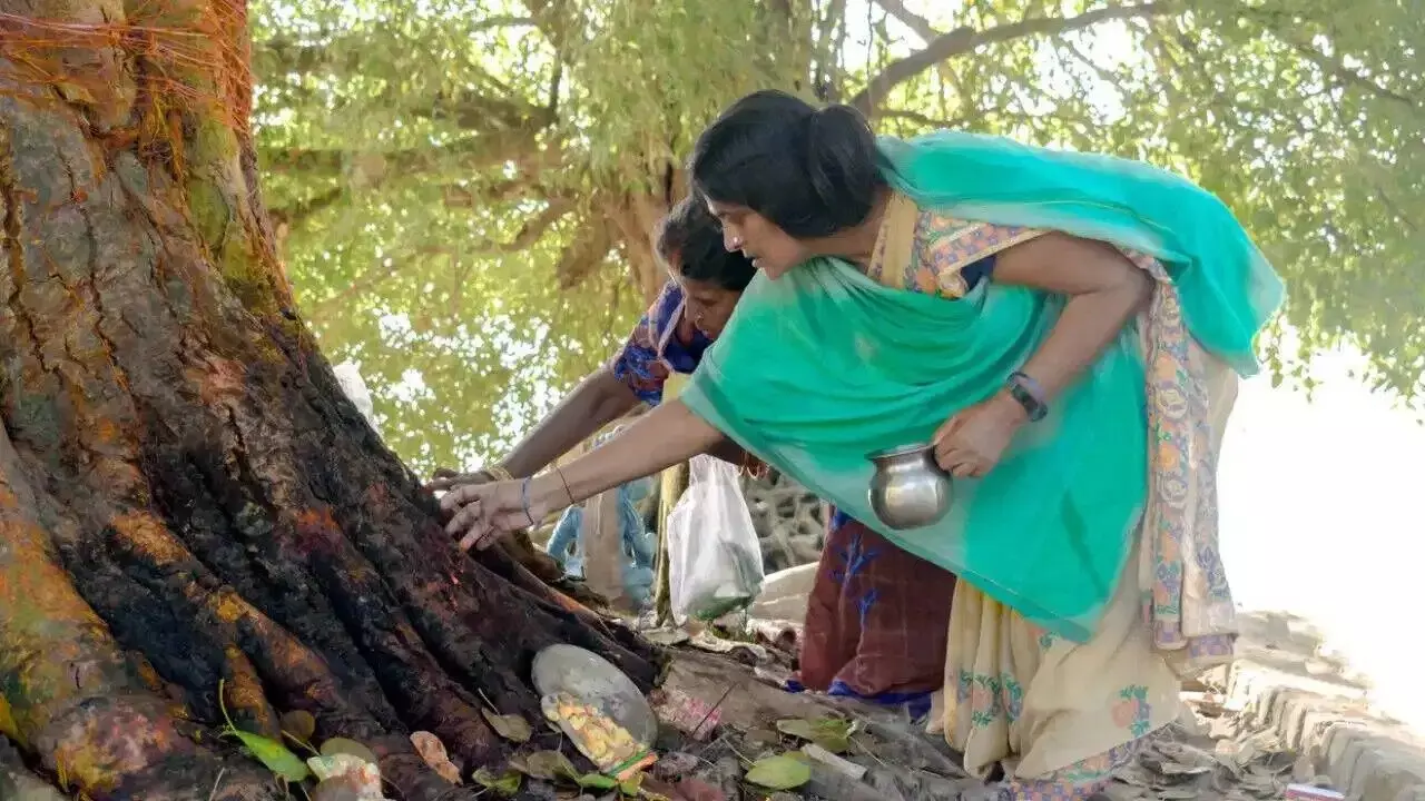 Shani Dosha Relief: శని దోష నివారణకు, ఐశ్వర్యానికి శనివారం ఈ రెండు చెట్లను పూజించండి.. Shani Dosha Relief: శని దోష నివారణకు, ఐశ్వర్యానికి శనివారం ఈ రెండు చెట్లను పూజించండి..