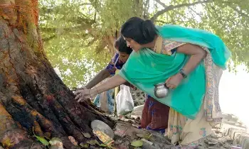 Shani Dosha Relief: శని దోష నివారణకు, ఐశ్వర్యానికి శనివారం ఈ రెండు చెట్లను పూజించండి..