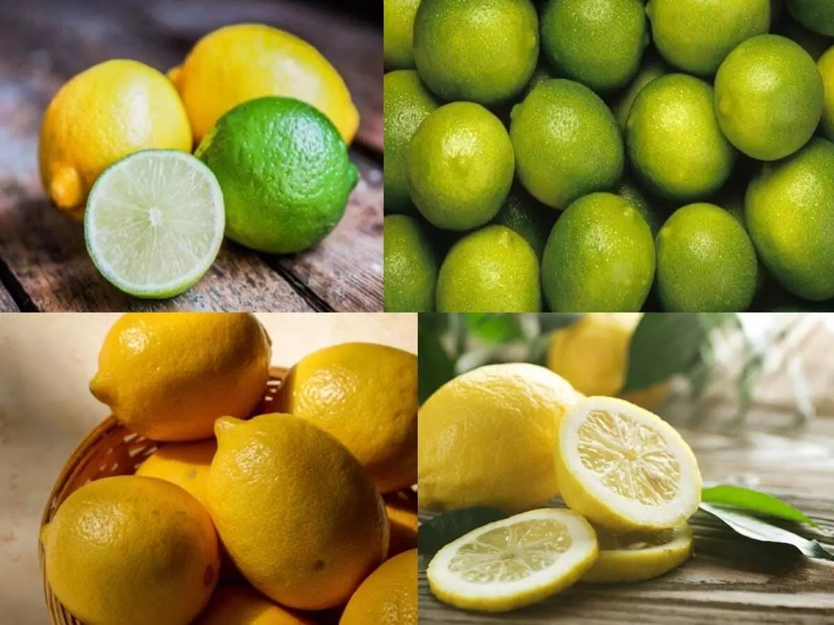 Yellow or Green Lemon: పసుపు నిమ్మకాయ, పచ్చ నిమ్మకాయ.. ఆరోగ్యానికి ఏది మంచిది? Yellow or Green Lemon: పసుపు నిమ్మకాయ, పచ్చ నిమ్మకాయ.. ఆరోగ్యానికి ఏది మంచిది?