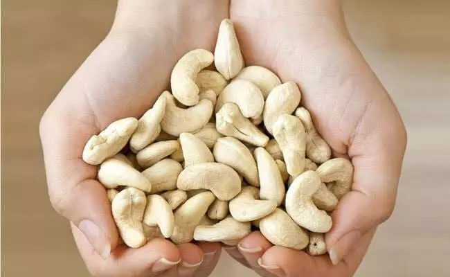 Eat a Handful of Cashews Every Day: రోజూ గుప్పెడు జీడిపప్పు తింటే శరీరంలో జరిగేది ఇదే.. Eat a Handful of Cashews Every Day: రోజూ గుప్పెడు జీడిపప్పు తింటే శరీరంలో జరిగేది ఇదే..