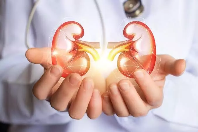 Keep Your Kidneys Healthy: రోజుకు 180 లీటర్ల రక్తాన్ని శుద్ధి చేసే కిడ్నీలు పదిలంగా ఉండాలంటే.. ఈ 5 అలవాట్లు తప్పనిసరి.. Keep Your Kidneys Healthy: రోజుకు 180 లీటర్ల రక్తాన్ని శుద్ధి చేసే కిడ్నీలు పదిలంగా ఉండాలంటే.. ఈ 5 అలవాట్లు తప్పనిసరి..