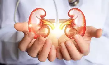Keep Your Kidneys Healthy: రోజుకు 180 లీటర్ల రక్తాన్ని శుద్ధి చేసే కిడ్నీలు పదిలంగా ఉండాలంటే.. ఈ 5 అలవాట్లు తప్పనిసరి.. Keep Your Kidneys Healthy: రోజుకు 180 లీటర్ల రక్తాన్ని శుద్ధి చేసే కిడ్నీలు పదిలంగా ఉండాలంటే.. ఈ 5 అలవాట్లు తప్పనిసరి..