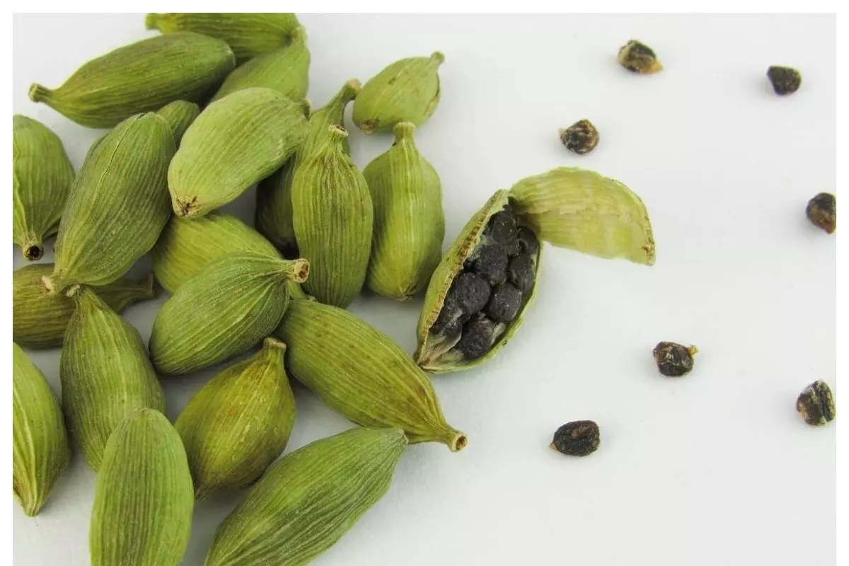 Eat Cardamom Before Bed: రాత్రి పడుకునే ముందు యాలకులు తింటే ఏమవుతుందో తెలుసా? Eat Cardamom Before Bed: రాత్రి పడుకునే ముందు యాలకులు తింటే ఏమవుతుందో తెలుసా?