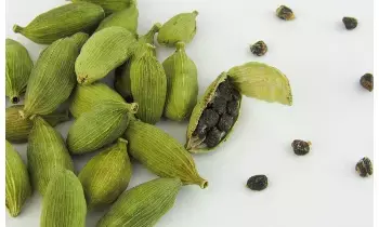 Eat Cardamom Before Bed: రాత్రి పడుకునే ముందు యాలకులు తింటే ఏమవుతుందో తెలుసా? Eat Cardamom Before Bed: రాత్రి పడుకునే ముందు యాలకులు తింటే ఏమవుతుందో తెలుసా?