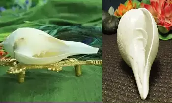Seeking Goddess Lakshmis Blessings: లక్ష్మీదేవి అనుగ్రహం కోసం.. పూజా గదిలో శంఖాన్ని ఇలా ఉంచండి!