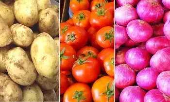 Vegetable Price Hike : భారీగా పెరిగిన కూరగాయల ధరలు.. సామాన్యుడి బడ్జెట్కు టమోటా, ఉల్లి షాక్ Vegetable Price Hike : భారీగా పెరిగిన కూరగాయల ధరలు.. సామాన్యుడి బడ్జెట్కు టమోటా, ఉల్లి షాక్