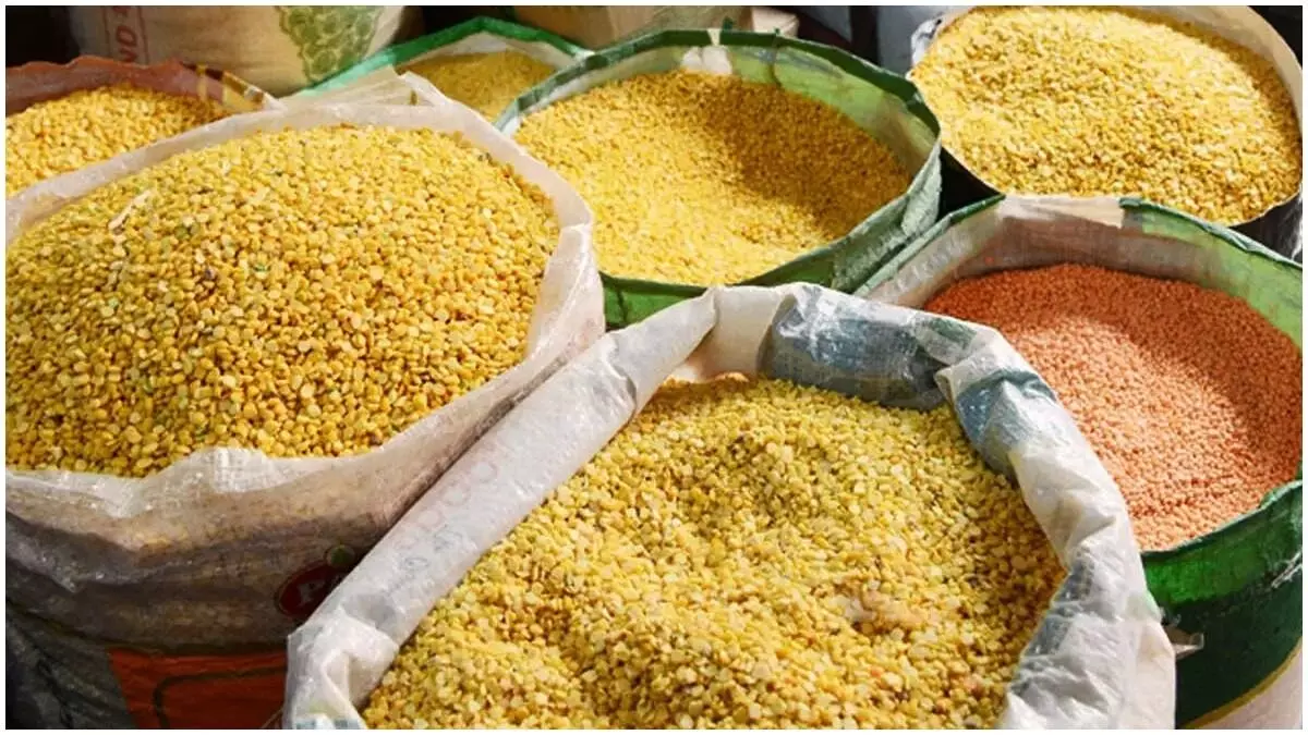 Protein-Rich Pulses: మీ శరీరానికి సూపర్ ఎనర్జీ ఇచ్చే పప్పులు ఇవే.. అస్సలు మిస్ అవ్వకండి! Protein-Rich Pulses: మీ శరీరానికి సూపర్ ఎనర్జీ ఇచ్చే పప్పులు ఇవే.. అస్సలు మిస్ అవ్వకండి!