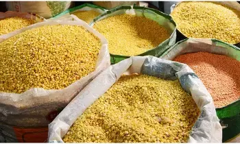 Protein-Rich Pulses: మీ శరీరానికి సూపర్ ఎనర్జీ ఇచ్చే పప్పులు ఇవే.. అస్సలు మిస్ అవ్వకండి! Protein-Rich Pulses: మీ శరీరానికి సూపర్ ఎనర్జీ ఇచ్చే పప్పులు ఇవే.. అస్సలు మిస్ అవ్వకండి!