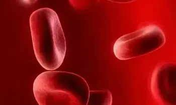 Beat Anemia: రక్తహీనతకు చెక్.. హీమోగ్లోబిన్ స్థాయిలను రాకెట్లా పెంచే సూపర్ ఫుడ్స్ ఇవే.. Beat Anemia: రక్తహీనతకు చెక్.. హీమోగ్లోబిన్ స్థాయిలను రాకెట్లా పెంచే సూపర్ ఫుడ్స్ ఇవే..