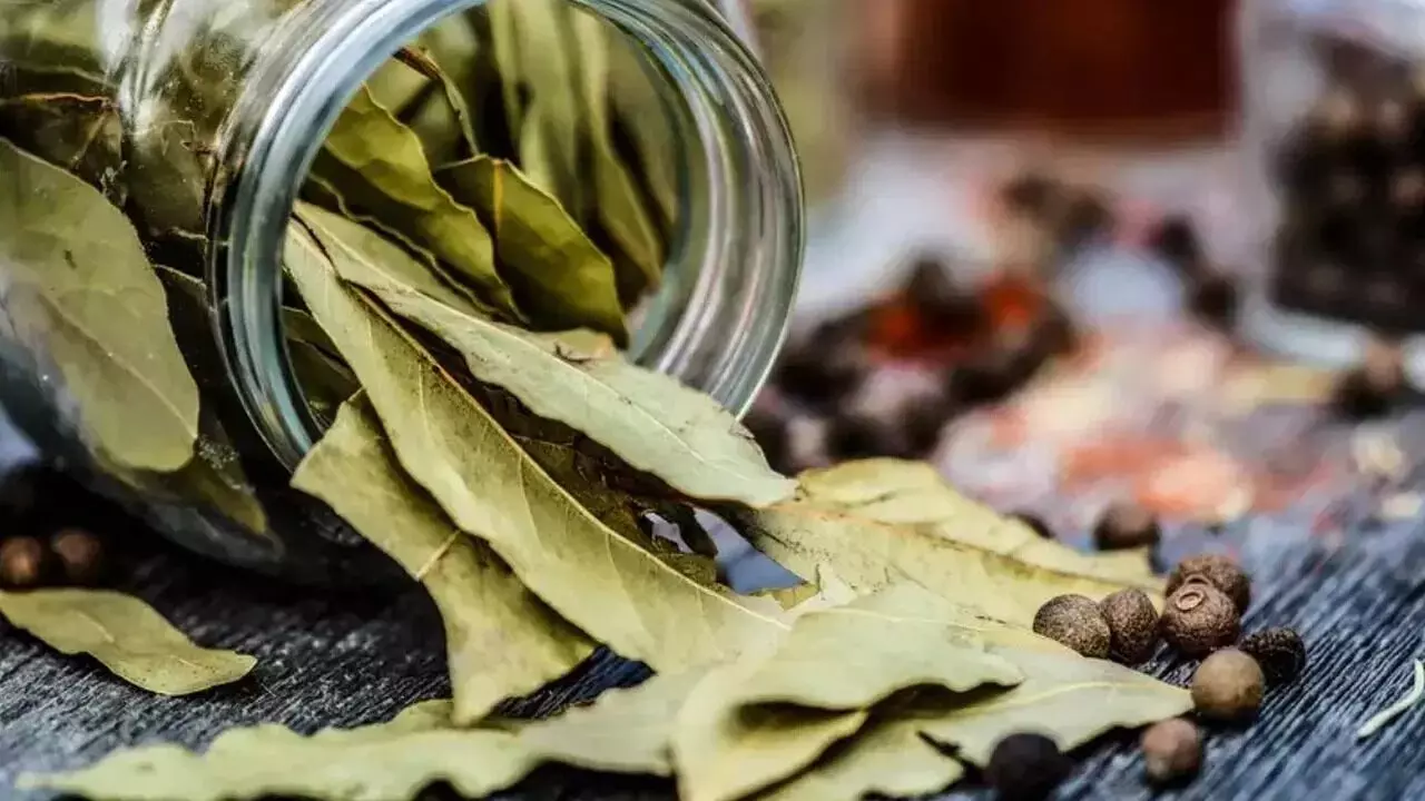 Bay Leaves: బిర్యానీ ఆకును పక్కన పడేస్తున్నారా?.. ఈ నిజాలు తెలిస్తే అస్సలు వదలరు! Bay Leaves: బిర్యానీ ఆకును పక్కన పడేస్తున్నారా?.. ఈ నిజాలు తెలిస్తే అస్సలు వదలరు!