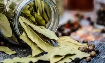Bay Leaves: బిర్యానీ ఆకును పక్కన పడేస్తున్నారా?.. ఈ నిజాలు తెలిస్తే అస్సలు వదలరు! Bay Leaves: బిర్యానీ ఆకును పక్కన పడేస్తున్నారా?.. ఈ నిజాలు తెలిస్తే అస్సలు వదలరు!