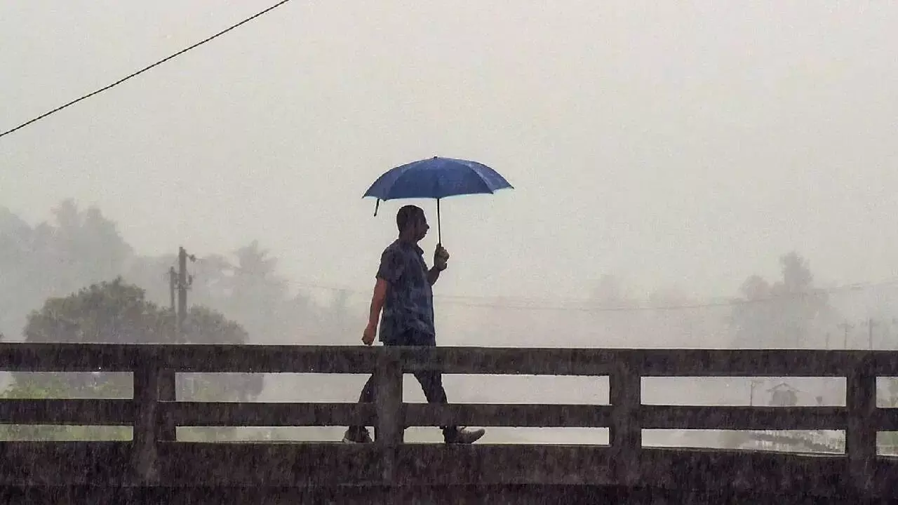 Monsoon Is Here: వర్షాకాలం వచ్చేసింది.. ఈ జాగ్రత్తలు తీసుకోకపోతే కష్టమే! Monsoon Is Here: వర్షాకాలం వచ్చేసింది.. ఈ జాగ్రత్తలు తీసుకోకపోతే కష్టమే!