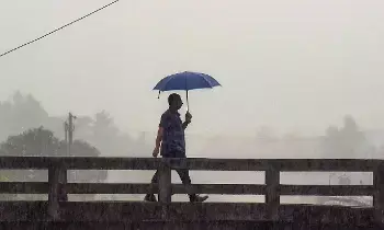 Monsoon Is Here: వర్షాకాలం వచ్చేసింది.. ఈ జాగ్రత్తలు తీసుకోకపోతే కష్టమే! Monsoon Is Here: వర్షాకాలం వచ్చేసింది.. ఈ జాగ్రత్తలు తీసుకోకపోతే కష్టమే!