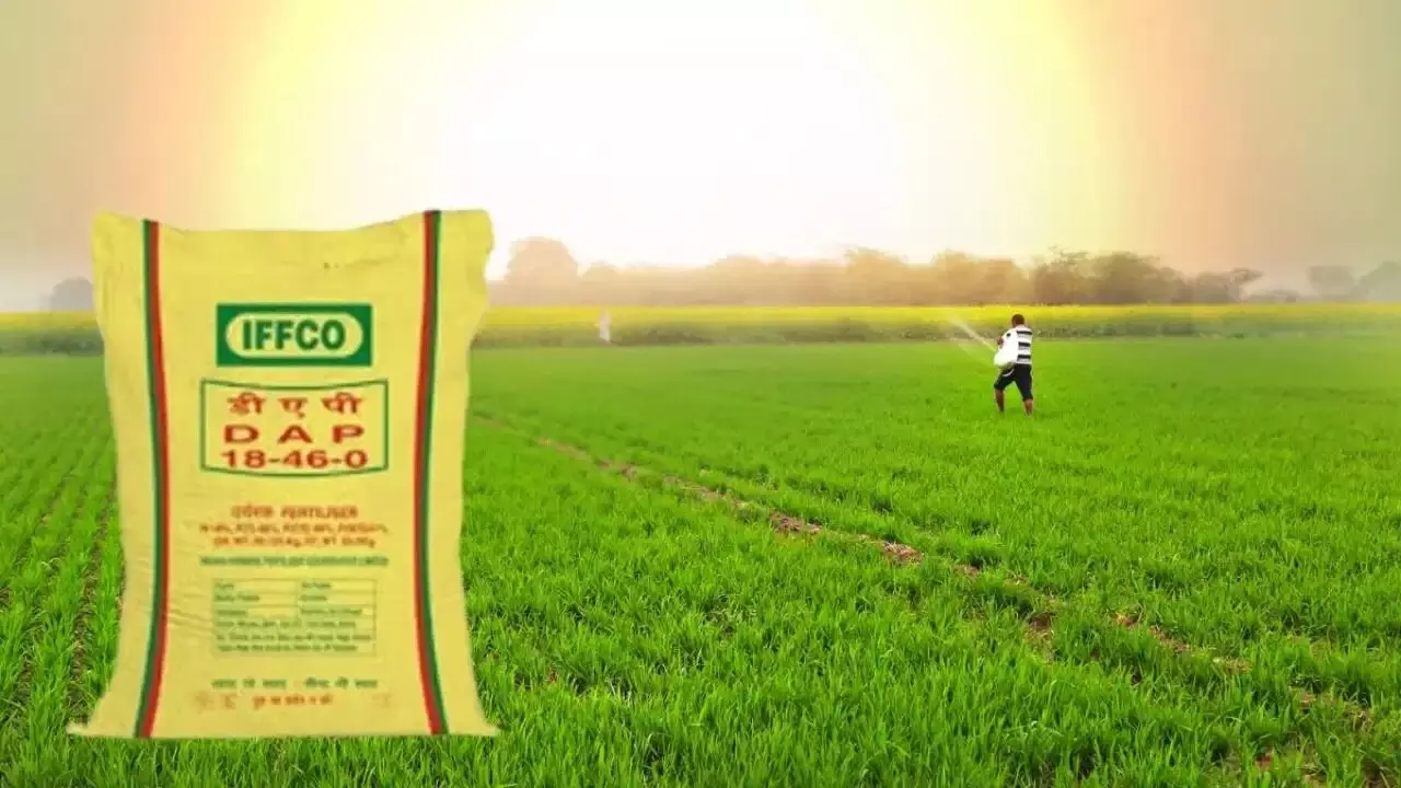 Fertilizer Supply : రైతన్నలకు గుడ్ న్యూస్.. యూరియా, డీఏపీ కొరతకు ఛాన్స్ లేదు.. కేంద్రం కీలక ప్రకటన Fertilizer Supply : రైతన్నలకు గుడ్ న్యూస్.. యూరియా, డీఏపీ కొరతకు ఛాన్స్ లేదు.. కేంద్రం కీలక ప్రకటన