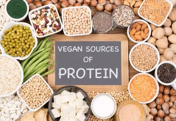 Best High-Protein Foods: వెజిటేరియన్స్కు సూపర్ ప్రొటీన్ ఫుడ్స్ ఇవే! Best High-Protein Foods: వెజిటేరియన్స్కు సూపర్ ప్రొటీన్ ఫుడ్స్ ఇవే!