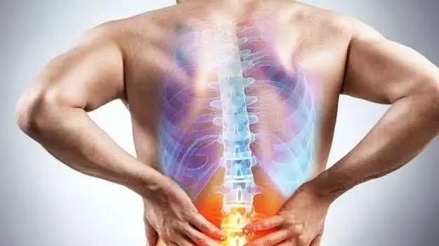 Want Strong Bones: మీ ఎముకలు ఉక్కులా బలంగా ఉండాలా? అయితే ఈ 5 ఆహారాలకు వెంటనే దూరమవ్వండి.. Want Strong Bones: మీ ఎముకలు ఉక్కులా బలంగా ఉండాలా? అయితే ఈ 5 ఆహారాలకు వెంటనే దూరమవ్వండి..