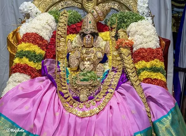 Goddess Sri Padmavathi: తిరుచానూరు శ్రీ పద్మావతి అమ్మవారికి వజ్రాలతో కూడిన బంగారు హారం విరాళం Goddess Sri Padmavathi: తిరుచానూరు శ్రీ పద్మావతి అమ్మవారికి వజ్రాలతో కూడిన బంగారు హారం విరాళం