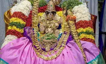 Goddess Sri Padmavathi: తిరుచానూరు శ్రీ పద్మావతి అమ్మవారికి వజ్రాలతో కూడిన బంగారు హారం విరాళం