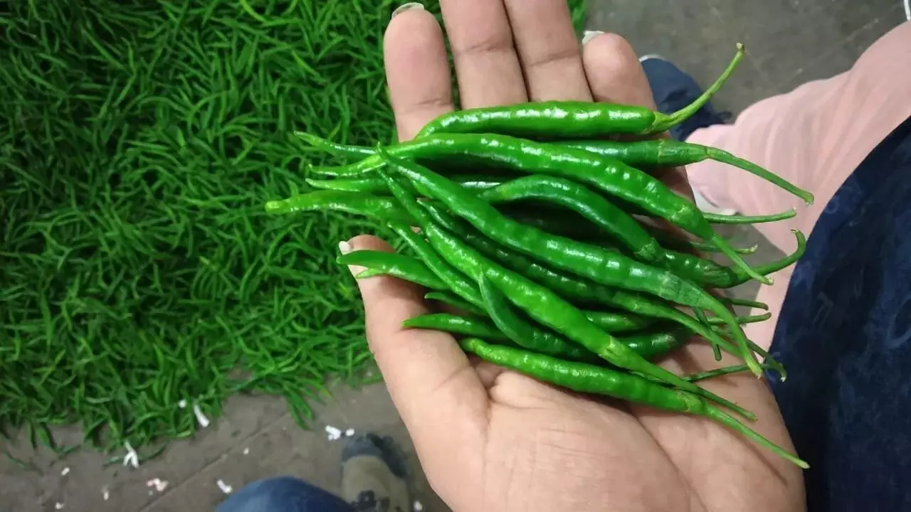 Hands Burning After Cutting Green Chilies: పచ్చిమిర్చి కోస్తే చేతులు మంట పుడుతున్నాయా? ఈ సింపుల్ కిచెన్ టిప్స్ తెలిస్తే మీ పని చాలా ఈజీ! Hands Burning After Cutting Green Chilies: పచ్చిమిర్చి కోస్తే చేతులు మంట పుడుతున్నాయా? ఈ సింపుల్ కిచెన్ టిప్స్ తెలిస్తే మీ పని చాలా ఈజీ!
