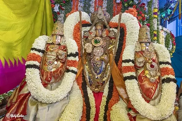 Sri Malayappa Swamy: పుష్ప పల్లకీపై శ్రీ భూ సమేత మలయప్పస్వామివారి వైభవం Sri Malayappa Swamy: పుష్ప పల్లకీపై శ్రీ భూ సమేత మలయప్పస్వామివారి వైభవం
