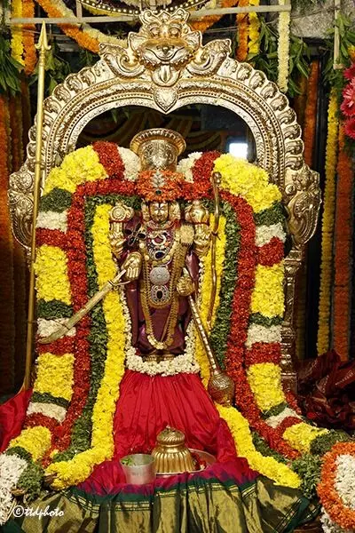 Sri Kalyana Venkateswara Swamy: వైభవంగా శ్రీ కల్యాణ వేంకటేశ్వరస్వామివారి పార్వేట ఉత్సవం Sri Kalyana Venkateswara Swamy: వైభవంగా శ్రీ కల్యాణ వేంకటేశ్వరస్వామివారి పార్వేట ఉత్సవం