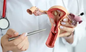 Endometriosis: ఎండోమెట్రియోసిస్కు శస్త్రచికిత్స అక్కర్లేదు.. సైంటిస్ట్ల సంచలనాత్మక పరిశోధన Endometriosis: ఎండోమెట్రియోసిస్కు శస్త్రచికిత్స అక్కర్లేదు.. సైంటిస్ట్ల సంచలనాత్మక పరిశోధన