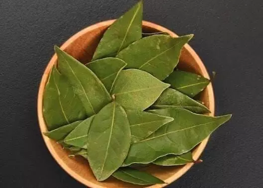 Eat Bay Leaves: బిర్యానీ ఆకు తినడం సురక్షితమేనా? ఆరోగ్య నిపుణులు హెచ్చరిస్తున్న నిజాలివే.. Eat Bay Leaves: బిర్యానీ ఆకు తినడం సురక్షితమేనా? ఆరోగ్య నిపుణులు హెచ్చరిస్తున్న నిజాలివే..