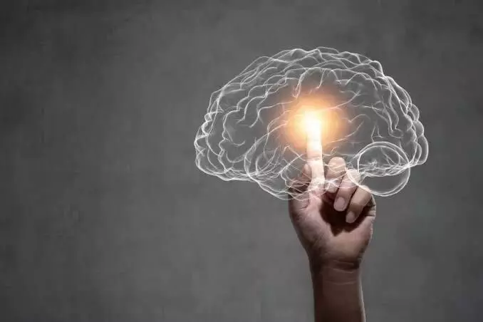 Healthy Brain: మెదడు చురుగ్గా ఉండాలంటే విటమిన్ B12 ఎందుకు అవసరమో తెలుసా? Healthy Brain: మెదడు చురుగ్గా ఉండాలంటే విటమిన్ B12 ఎందుకు అవసరమో తెలుసా?