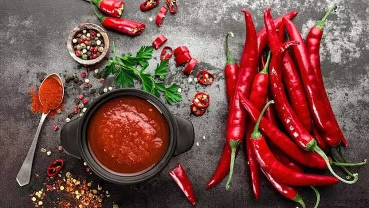 Risk of Esophageal Cancer: కారంగా ఎక్కువ తింటున్నారా..? అన్నవాహిక కాన్సర్ ప్రమాదం పెరుగుతుందని అధ్యయనం హెచ్చరిక.. Risk of Esophageal Cancer: కారంగా ఎక్కువ తింటున్నారా..? అన్నవాహిక కాన్సర్ ప్రమాదం పెరుగుతుందని అధ్యయనం హెచ్చరిక..