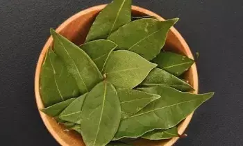 Eat Bay Leaves: బిర్యానీ ఆకు తినడం సురక్షితమేనా? ఆరోగ్య నిపుణులు హెచ్చరిస్తున్న నిజాలివే.. Eat Bay Leaves: బిర్యానీ ఆకు తినడం సురక్షితమేనా? ఆరోగ్య నిపుణులు హెచ్చరిస్తున్న నిజాలివే..