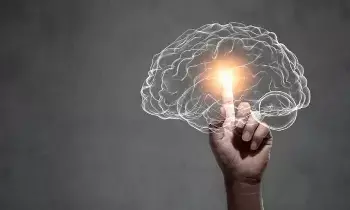 Healthy Brain: మెదడు చురుగ్గా ఉండాలంటే విటమిన్ B12 ఎందుకు అవసరమో తెలుసా? Healthy Brain: మెదడు చురుగ్గా ఉండాలంటే విటమిన్ B12 ఎందుకు అవసరమో తెలుసా?
