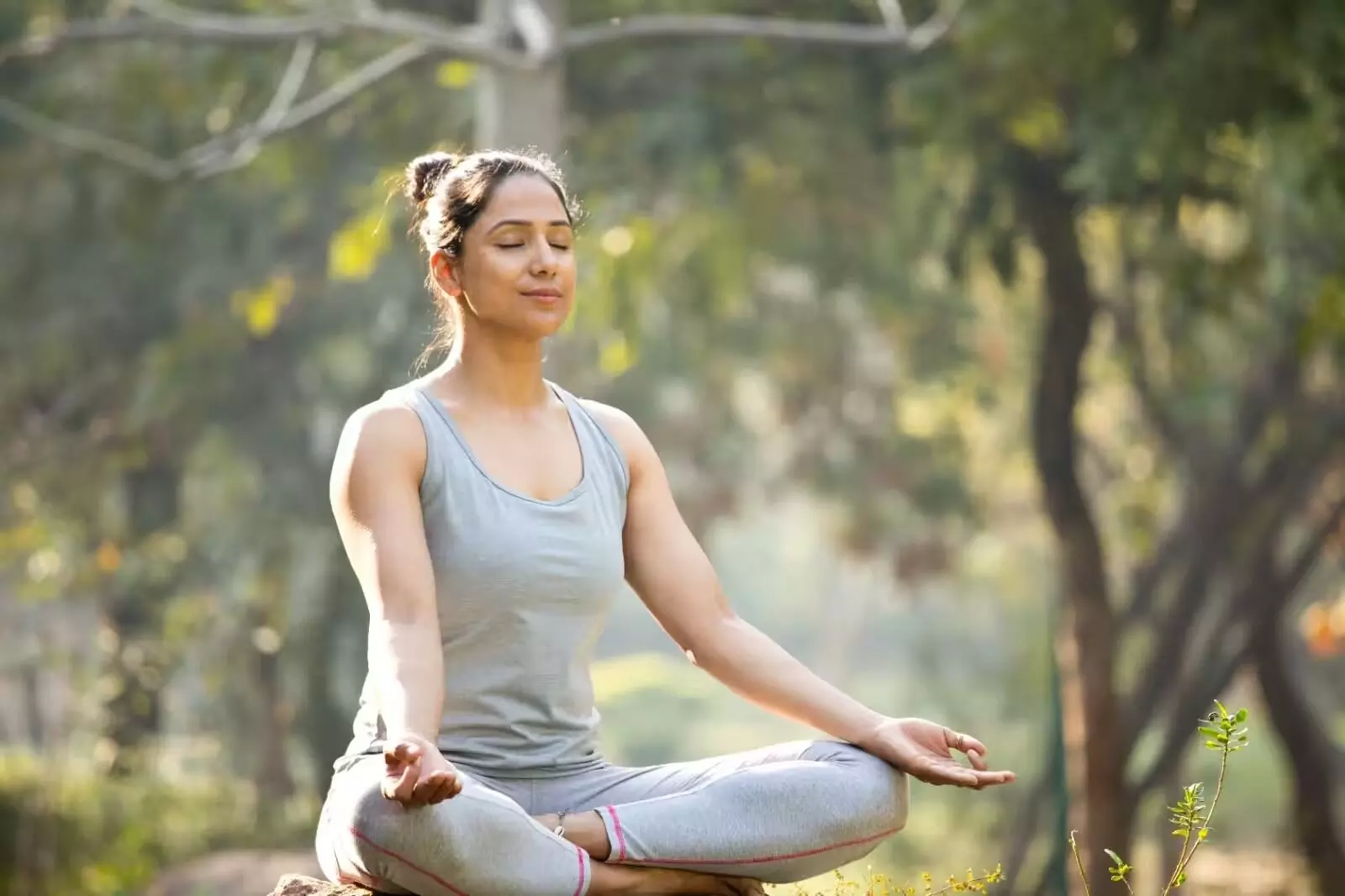 ‘Metta Meditation’: ఆపదలో సమయస్ఫూర్తిని పెంచే మెట్టా మెడిటేషన్.. ఈ ధ్యానం ప్రత్యేకత ఏంటో తెలుసా? ‘Metta Meditation’: ఆపదలో సమయస్ఫూర్తిని పెంచే మెట్టా మెడిటేషన్.. ఈ ధ్యానం ప్రత్యేకత ఏంటో తెలుసా?