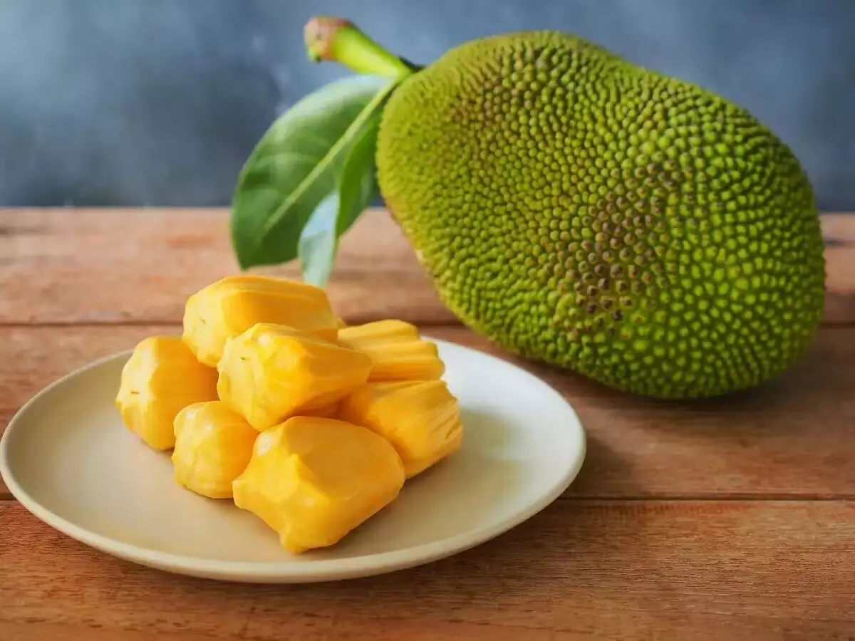 Jackfruit: పనస పండు వల్ల కలిగే అద్భుత ఆరోగ్య ప్రయోజనాలు ఇవే! Jackfruit: పనస పండు వల్ల కలిగే అద్భుత ఆరోగ్య ప్రయోజనాలు ఇవే!