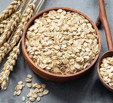 Oats: ఓట్స్ తింటే ఆరోగ్యానికి లాభమా? నష్టమా? Oats: ఓట్స్ తింటే ఆరోగ్యానికి లాభమా? నష్టమా?